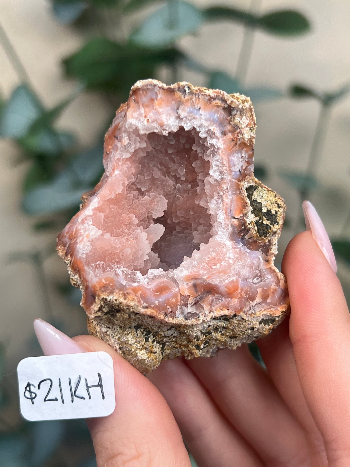Pink Chalcedony Geodes (8 options)